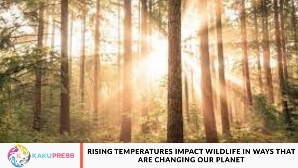 Rising Temperatures Impact Wildlife in Ways That Are Changing Our Planet Rising Temperatures Impact Wildlife in Ways That Are Changing Our Planet